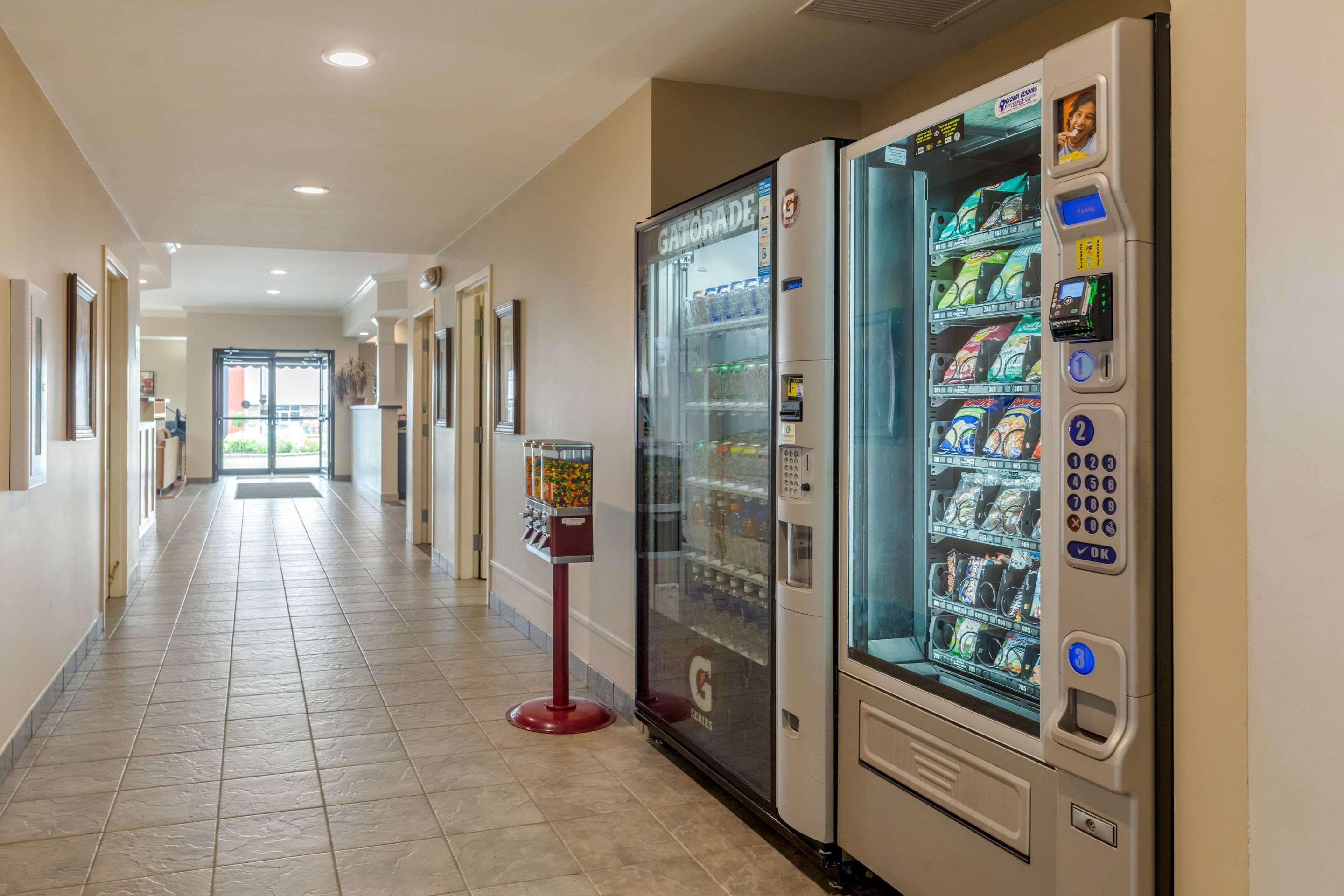 Quality Inn & Suites Amsterdam Fredericton Dış mekan fotoğraf