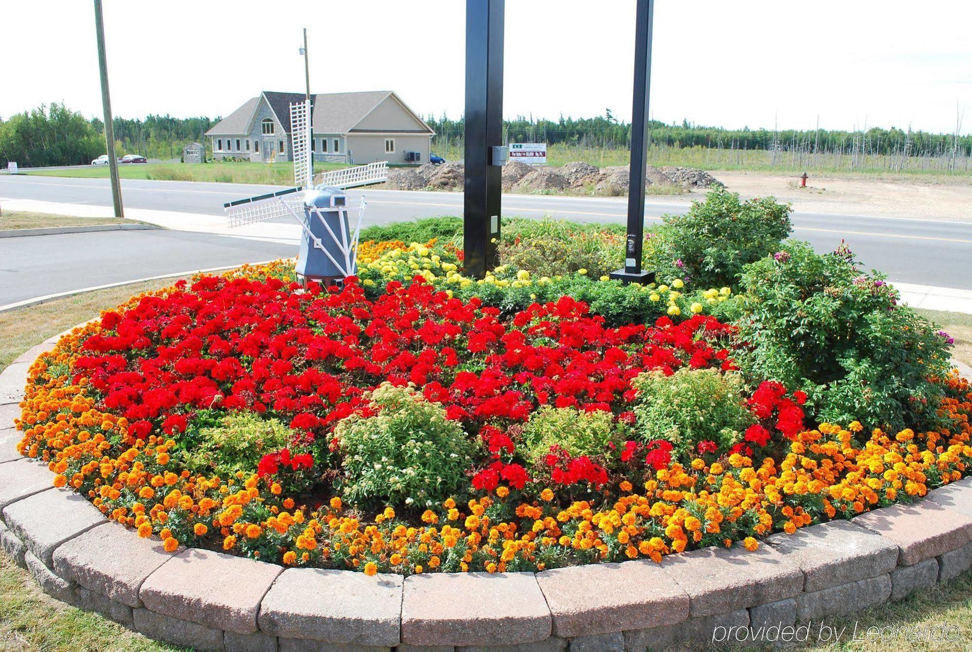 Quality Inn & Suites Amsterdam Fredericton Dış mekan fotoğraf